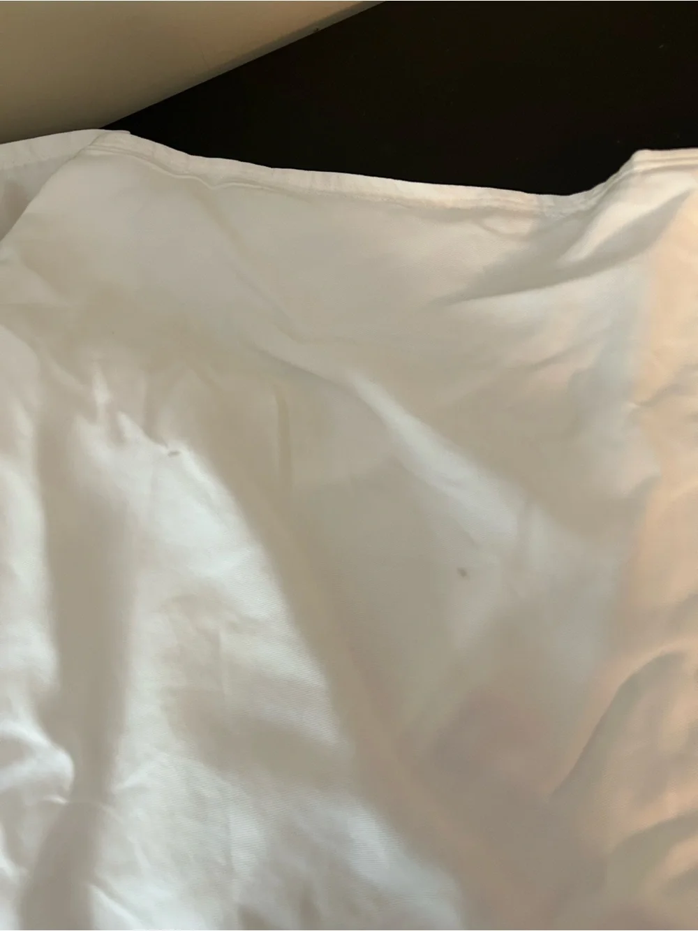 West Elm Brushed Twill duvet euro shams